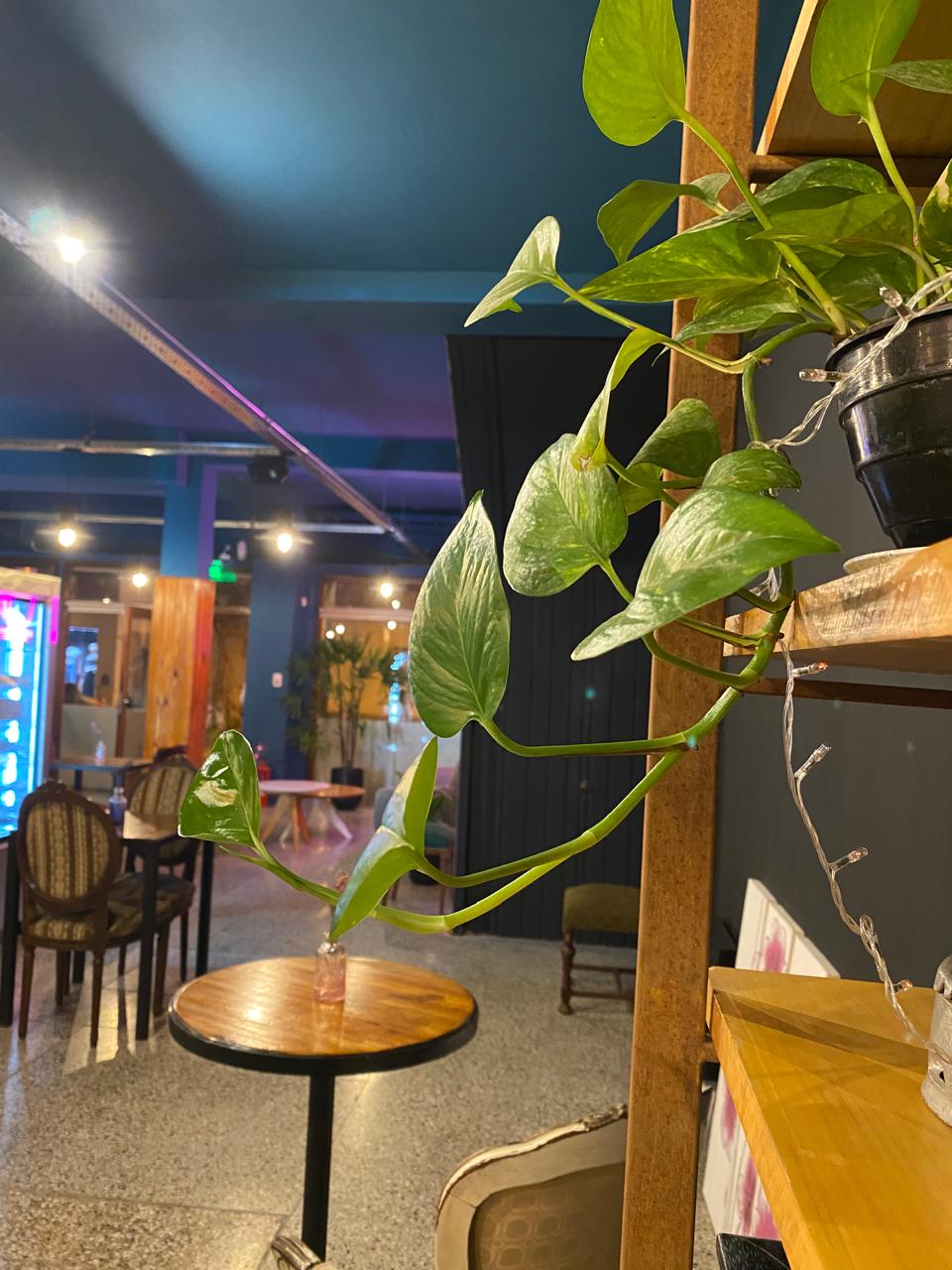Foto del café